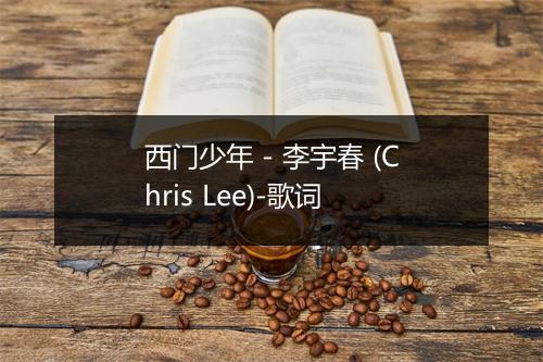 西门少年 - 李宇春 (Chris Lee)-歌词