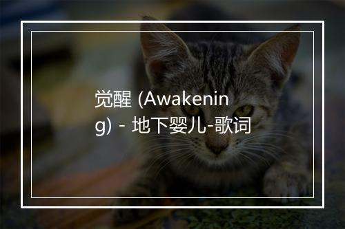 觉醒 (Awakening) - 地下婴儿-歌词