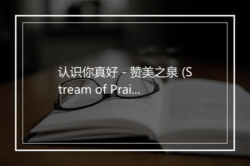 认识你真好 - 赞美之泉 (Stream of Praise)-歌词