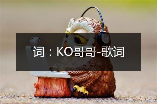 词：KO哥哥-歌词