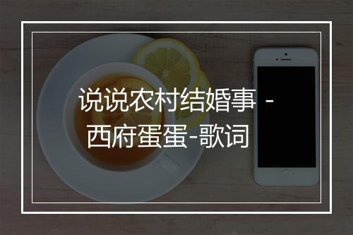 说说农村结婚事 - 西府蛋蛋-歌词