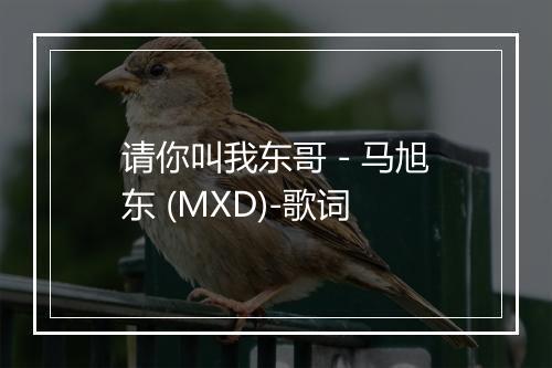 请你叫我东哥 - 马旭东 (MXD)-歌词