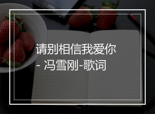 请别相信我爱你 - 冯雪刚-歌词