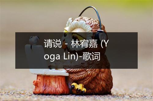 请说 - 林宥嘉 (Yoga Lin)-歌词