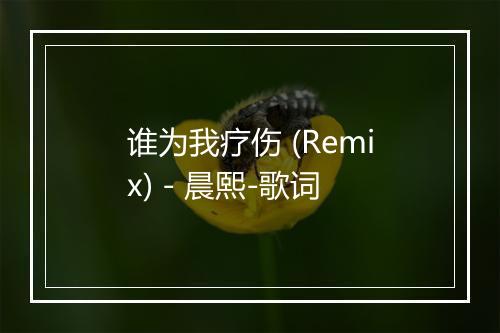 谁为我疗伤 (Remix) - 晨熙-歌词