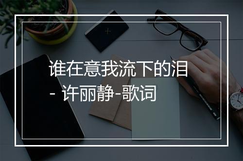 谁在意我流下的泪 - 许丽静-歌词