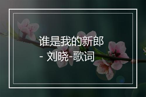 谁是我的新郎 - 刘晓-歌词