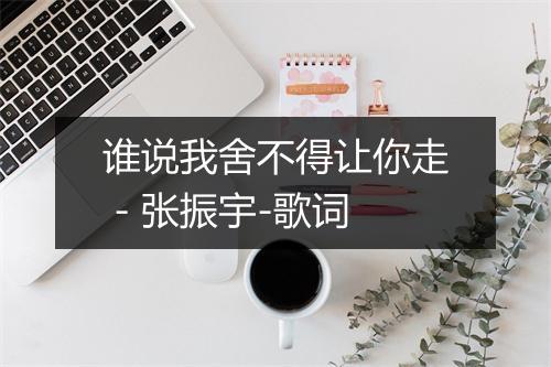 谁说我舍不得让你走 - 张振宇-歌词