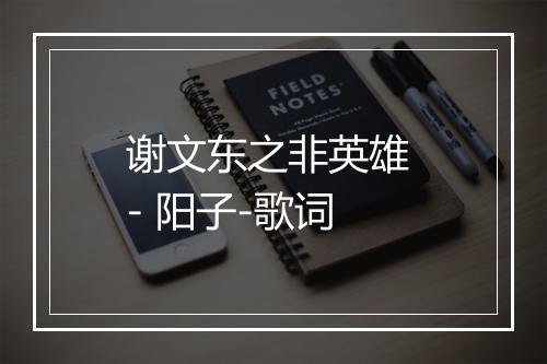 谢文东之非英雄 - 阳子-歌词