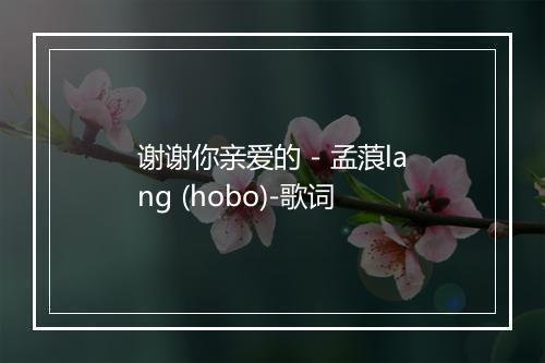 谢谢你亲爱的 - 孟蒗lang (hobo)-歌词