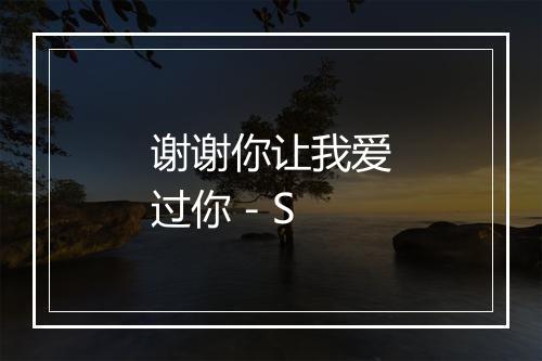 谢谢你让我爱过你 - S