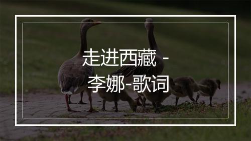 走进西藏 - 李娜-歌词