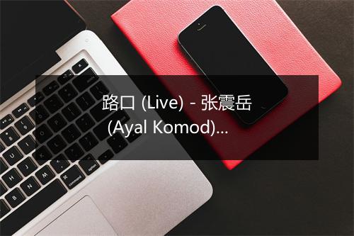 路口 (Live) - 张震岳 (Ayal Komod)-歌词