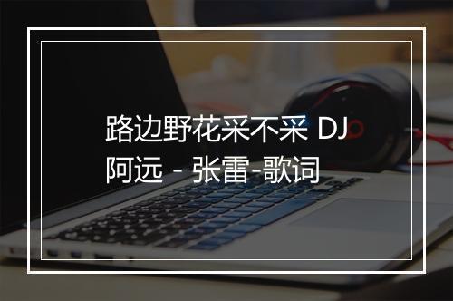 路边野花采不采 DJ阿远 - 张雷-歌词