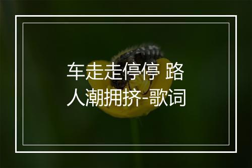 车走走停停 路人潮拥挤-歌词