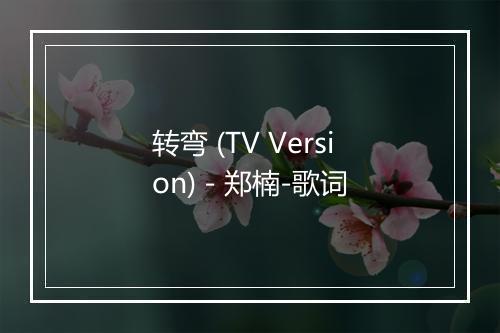 转弯 (TV Version) - 郑楠-歌词