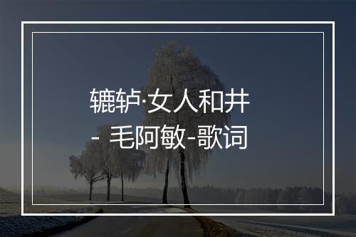 辘轳·女人和井  - 毛阿敏-歌词