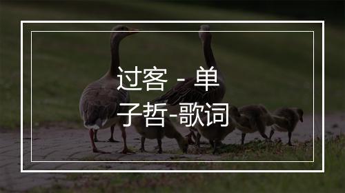 过客 - 单子哲-歌词