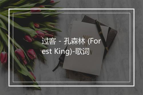 过客 - 孔森林 (Forest King)-歌词