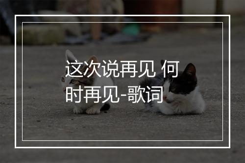 这次说再见 何时再见-歌词