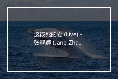 这该死的爱 (Live) - 张靓颖 (Jane Zhang)-歌词