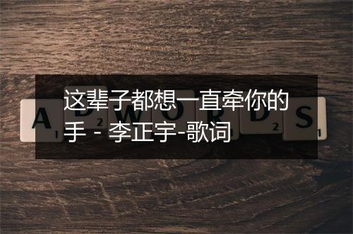 这辈子都想一直牵你的手 - 李正宇-歌词