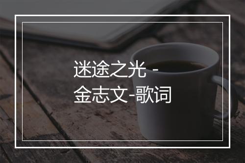 迷途之光 - 金志文-歌词