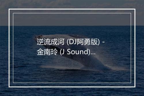 逆流成河 (DJ阿勇版) - 金南玲 (J Sound)-歌词