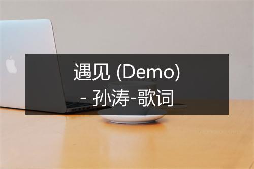 遇见 (Demo) - 孙涛-歌词