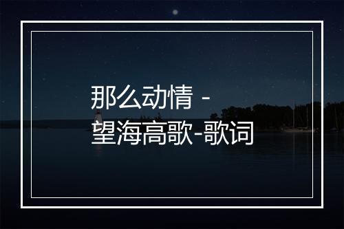 那么动情 - 望海高歌-歌词