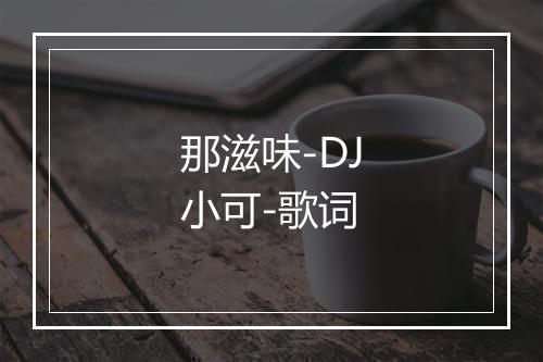 那滋味-DJ小可-歌词