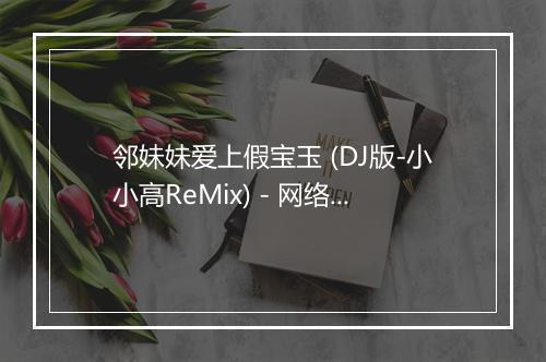 邻妹妹爱上假宝玉 (DJ版-小小高ReMix) - 网络歌手-歌词