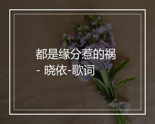 都是缘分惹的祸 - 晓依-歌词