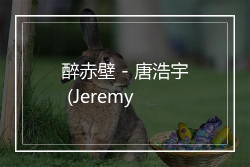 醉赤壁 - 唐浩宇 (Jeremy