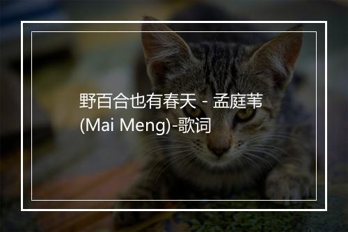 野百合也有春天 - 孟庭苇 (Mai Meng)-歌词