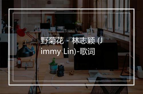 野菊花 - 林志颖 (Jimmy Lin)-歌词