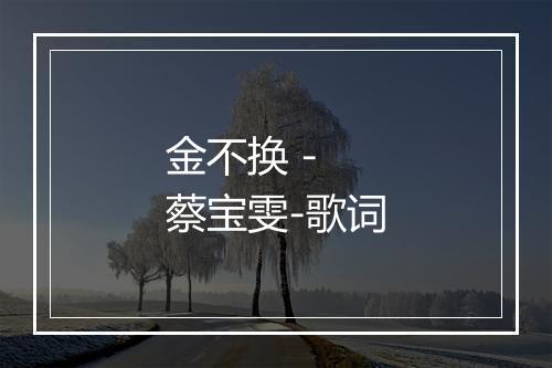 金不换 - 蔡宝雯-歌词