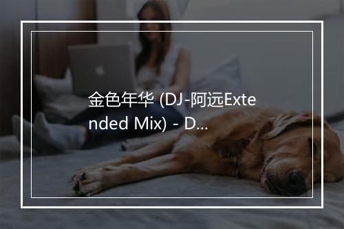 金色年华 (DJ-阿远Extended Mix) - DJ-歌词