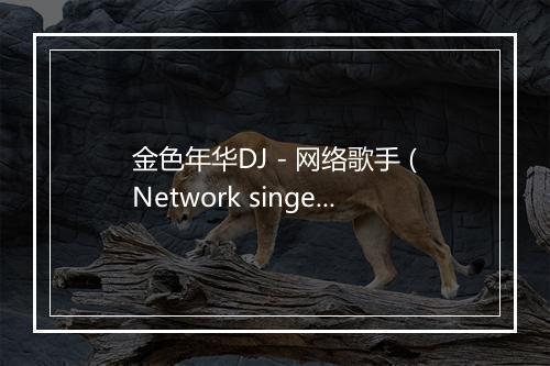 金色年华DJ - 网络歌手 (Network singer)-歌词