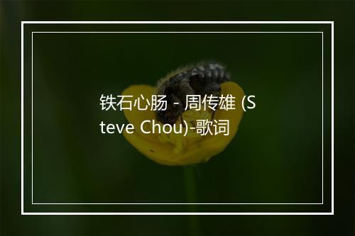 铁石心肠 - 周传雄 (Steve Chou)-歌词