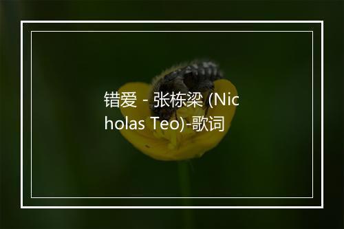 错爱 - 张栋梁 (Nicholas Teo)-歌词