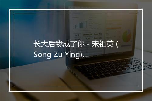 长大后我成了你 - 宋祖英 (Song Zu Ying)-歌词