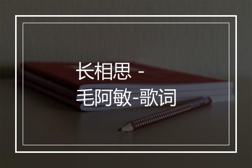 长相思 - 毛阿敏-歌词