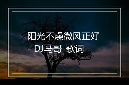 阳光不燥微风正好 - DJ马哥-歌词