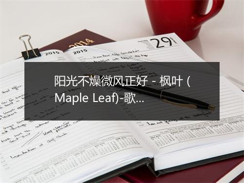 阳光不燥微风正好 - 枫叶 (Maple Leaf)-歌词_1