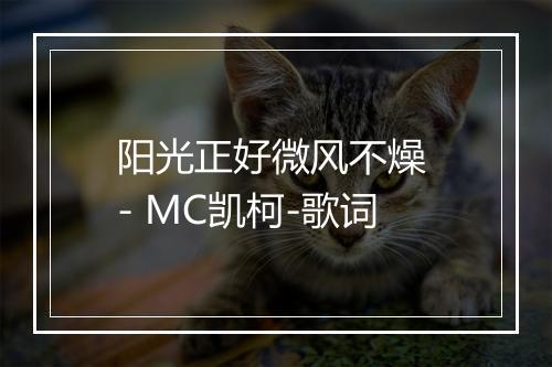 阳光正好微风不燥 - MC凯柯-歌词