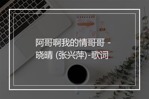 阿哥啊我的情哥哥 - 晓晴 (张兴萍)-歌词