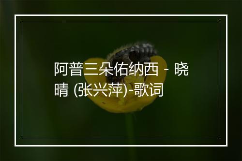 阿普三朵佑纳西 - 晓晴 (张兴萍)-歌词