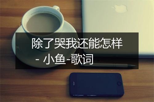 除了哭我还能怎样 - 小鱼-歌词