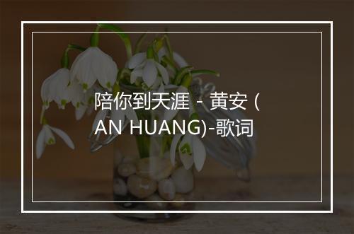 陪你到天涯 - 黄安 (AN HUANG)-歌词